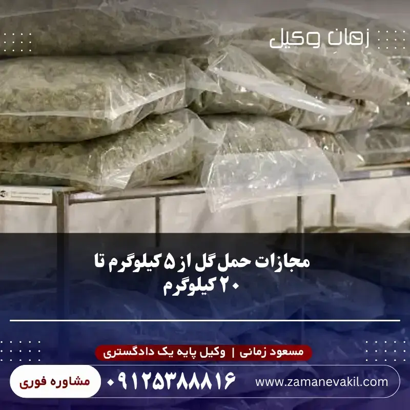 مجازات حمل گل از ۵ کیلوگرم تا ۲۰ کیلوگرم