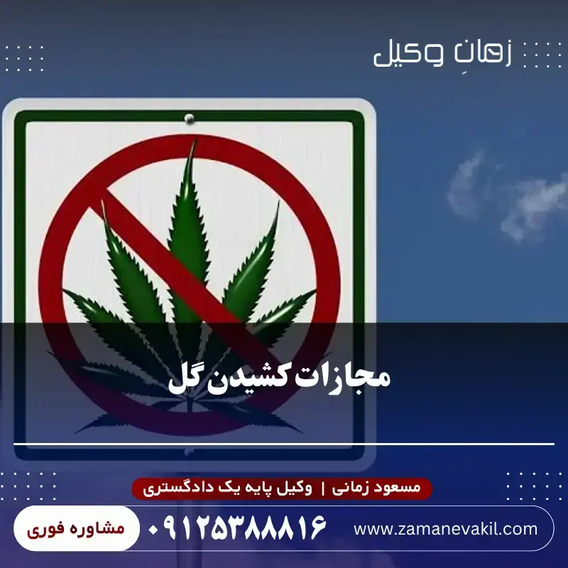 مجازات مصرف گل